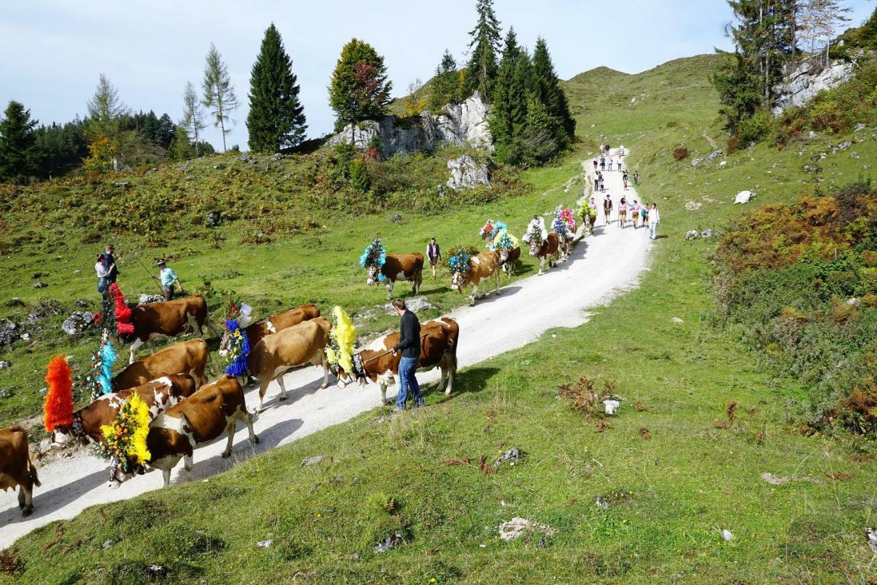 Ferienwohnung Julia Brixen im Thale Buitenkant foto